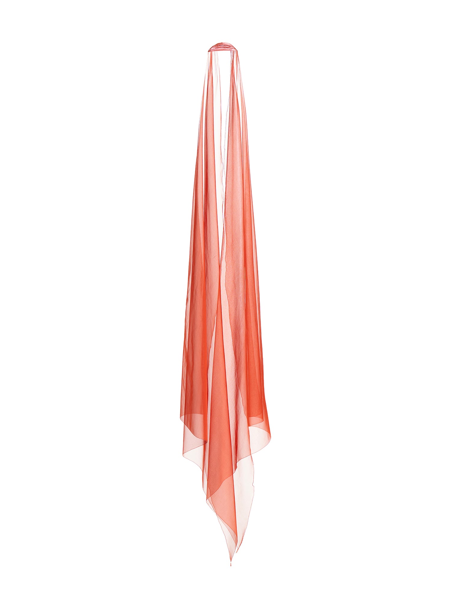 Ari Shawl